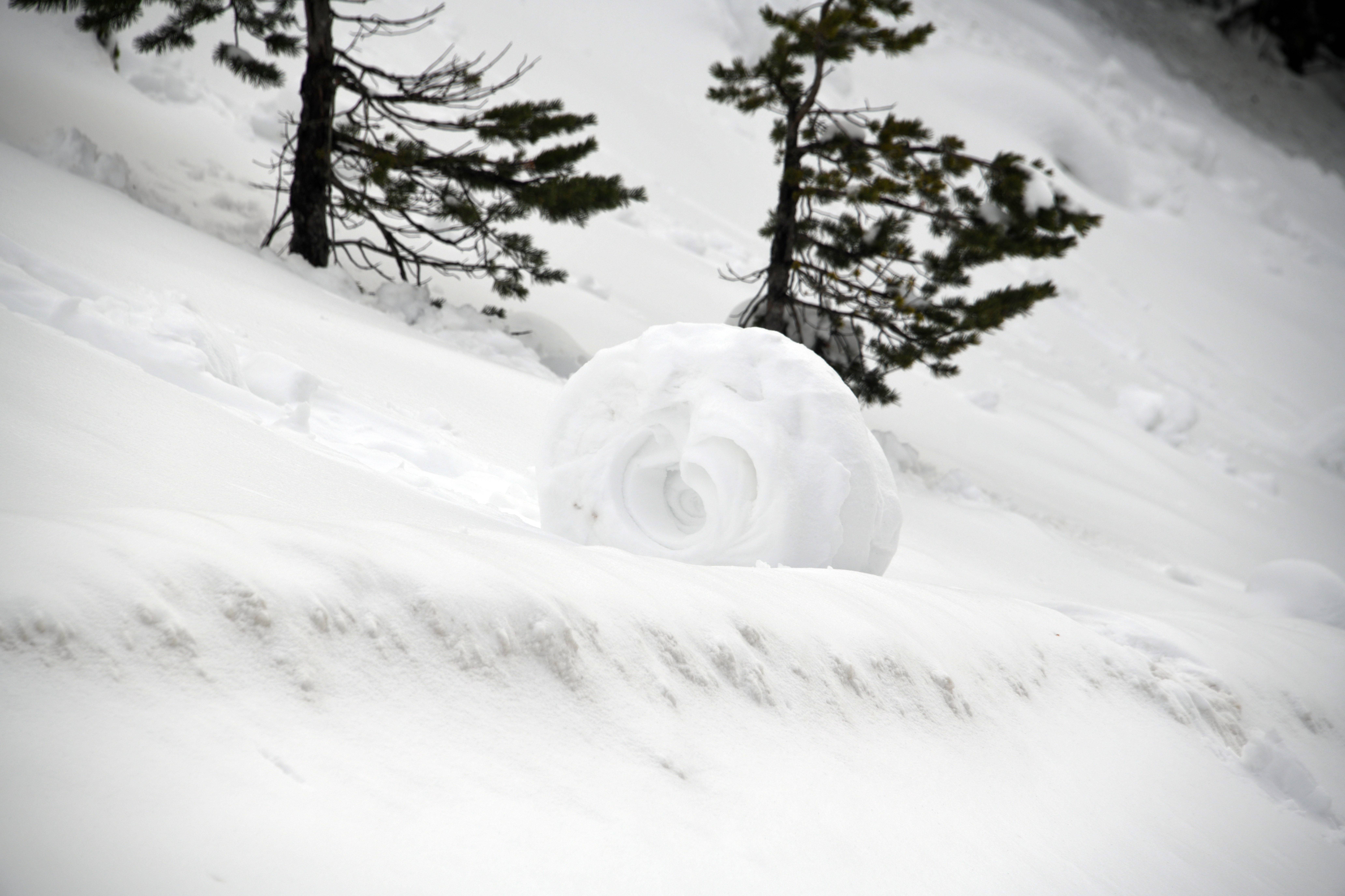 Doğada ender oluşan kar ruloları Ilgaz Dağı'nda görüldü