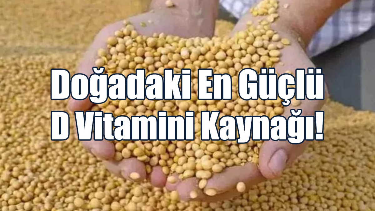 Girdiği Evde Ömrü En Az 10 Yıl Uzatıyor