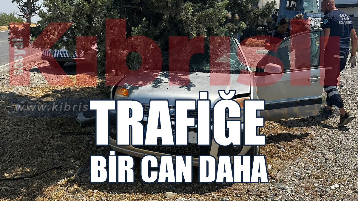 Trafik Kazası: 1 Kişi Hayatını Kaybetti
