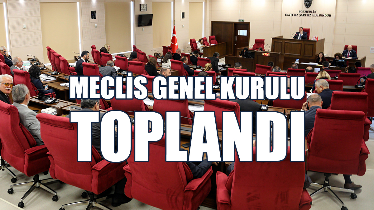 Bütçe Görüşmeleri İkinci Haftasında...