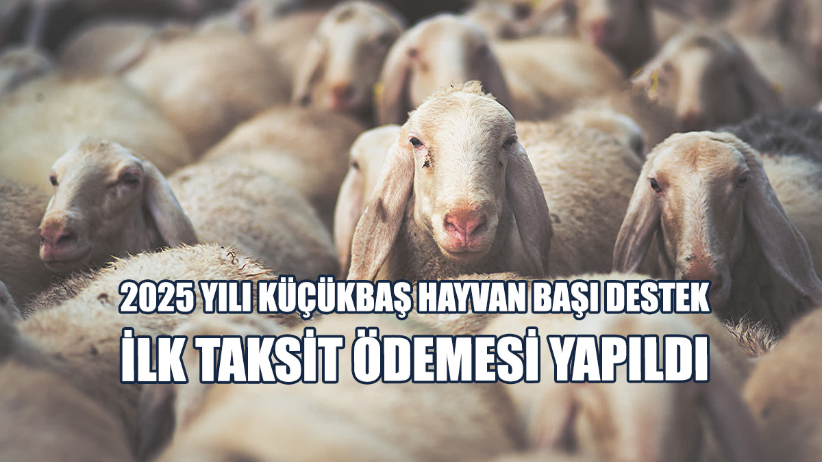 Çavuş: Üretime Değer Katmaya Devam Ediyoruz