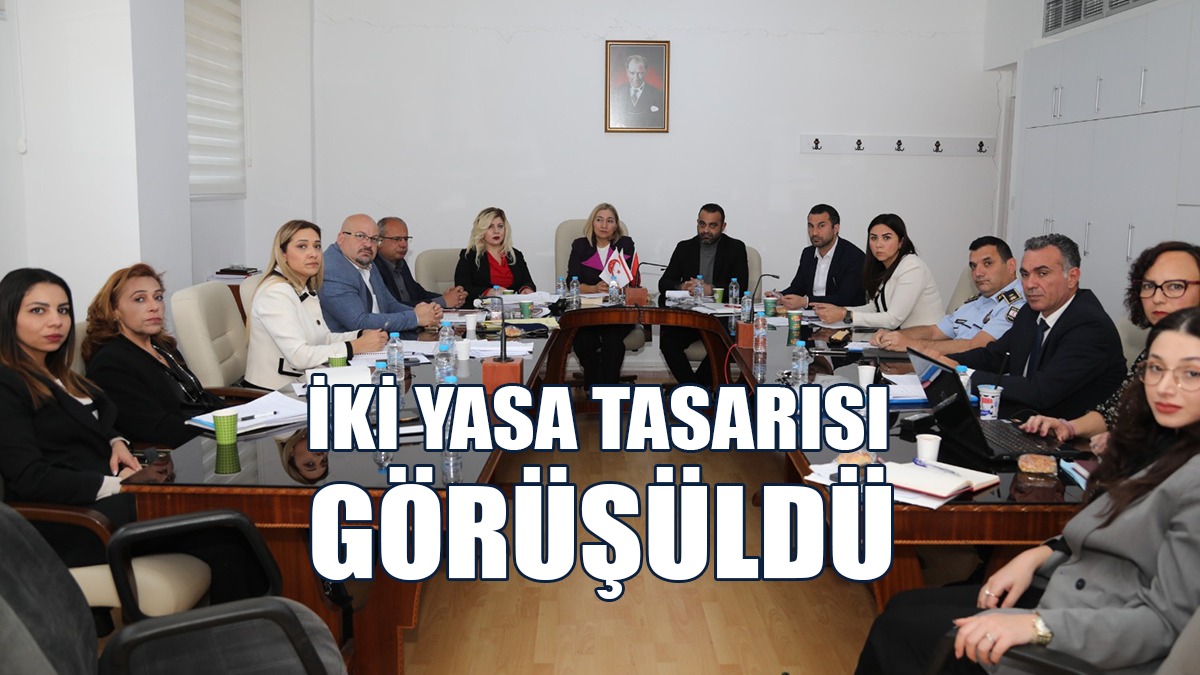 Hukuk, Siyasi İşler ve Dışilişkiler Komitesi İki Yasa Tasarısını Görüştü