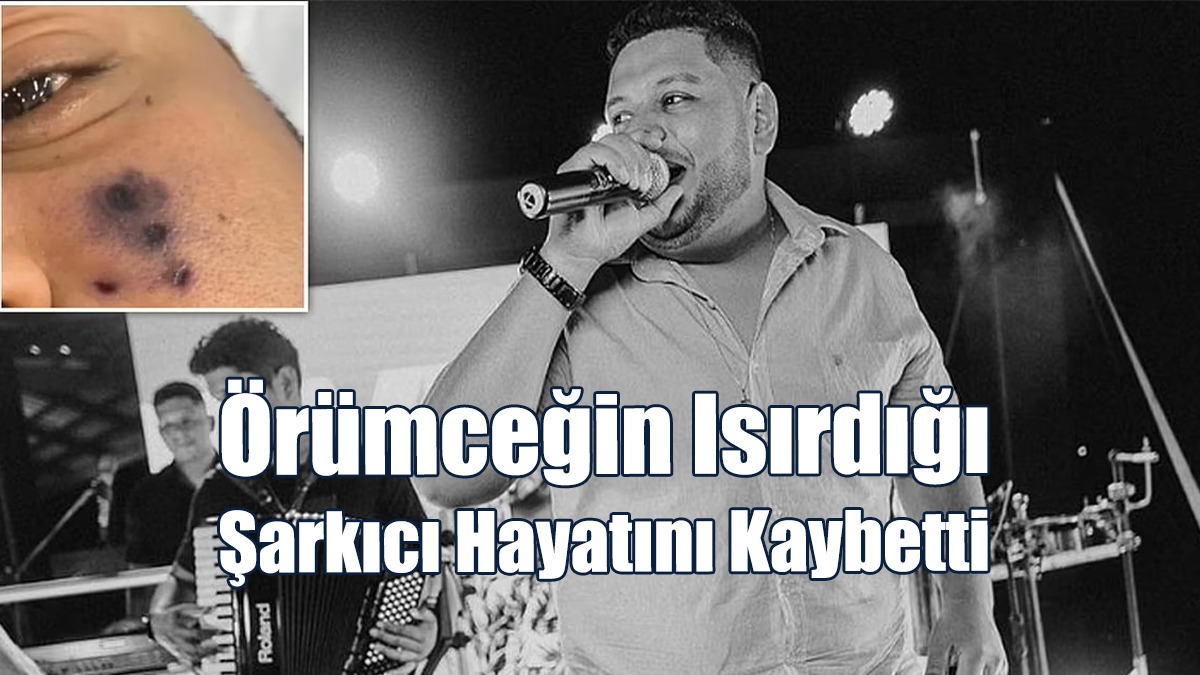 Örümceğin Isırdığı Şarkıcı Hayatını Kaybetti