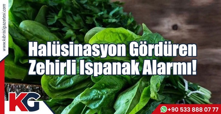 Halüsinasyon Gördüren Zehirli Ispanak Alarmı!