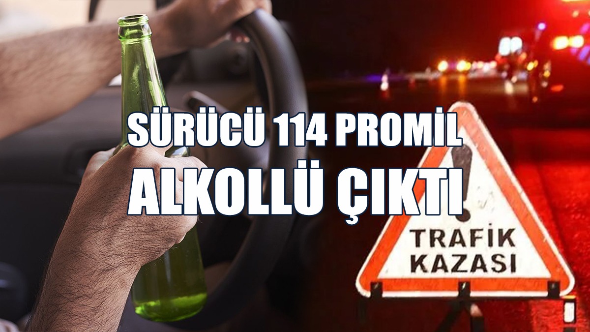 Aydınlatma Direğine Çarptı