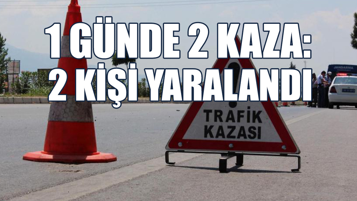 2 Kişi Yaralandı, 1 Köpek Telef Oldu...