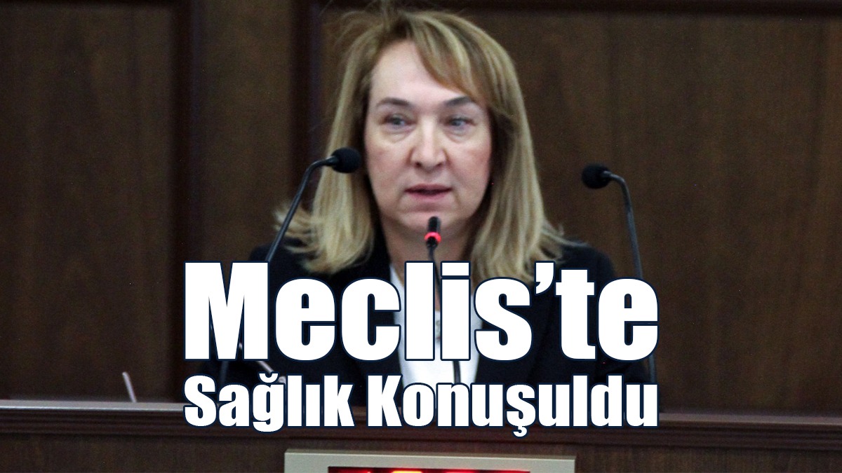 Meclis’te Sağlık Konuşuldu