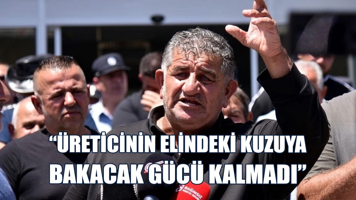 Naimoğulları: Pazar Tıkandı, Üretici Çare Arıyor