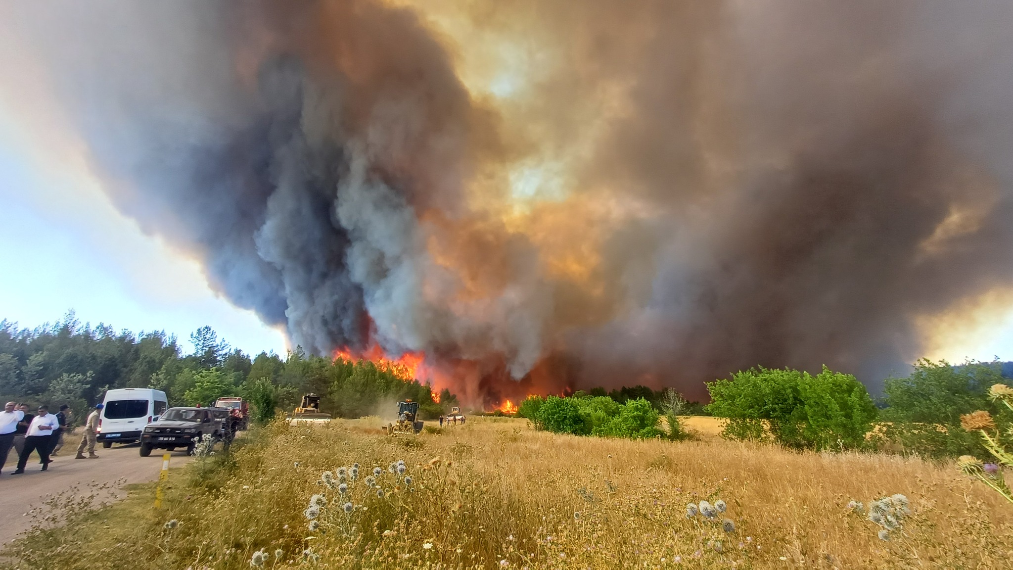 Güney Kıbrıs’ta çıkan büyük yangının sebebi kundaklama