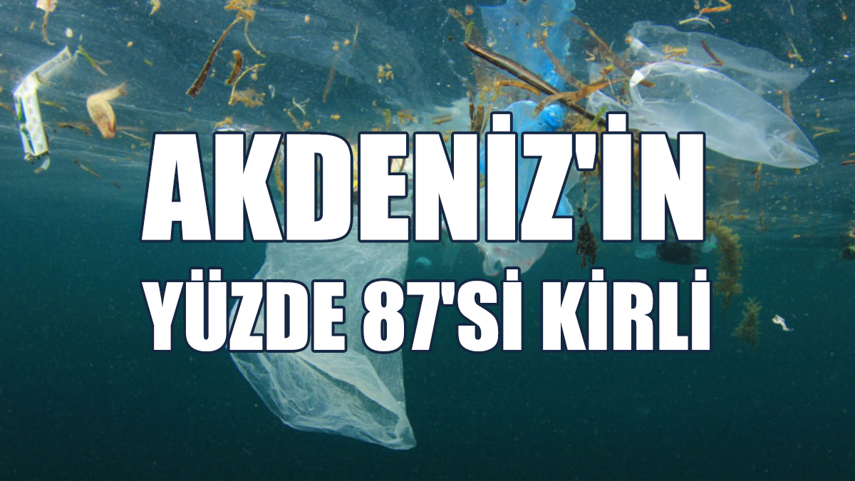 Zehirli Metaller, Kimyasallar, Plastik Atıklar…