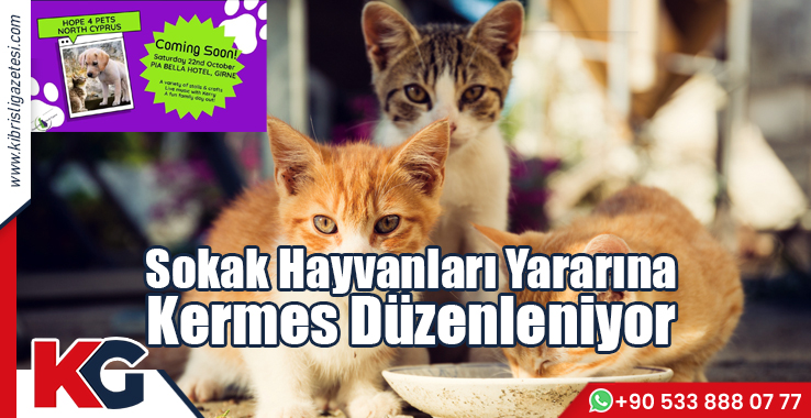 Sokak Hayvanları Yararına Kermes Düzenleniyor