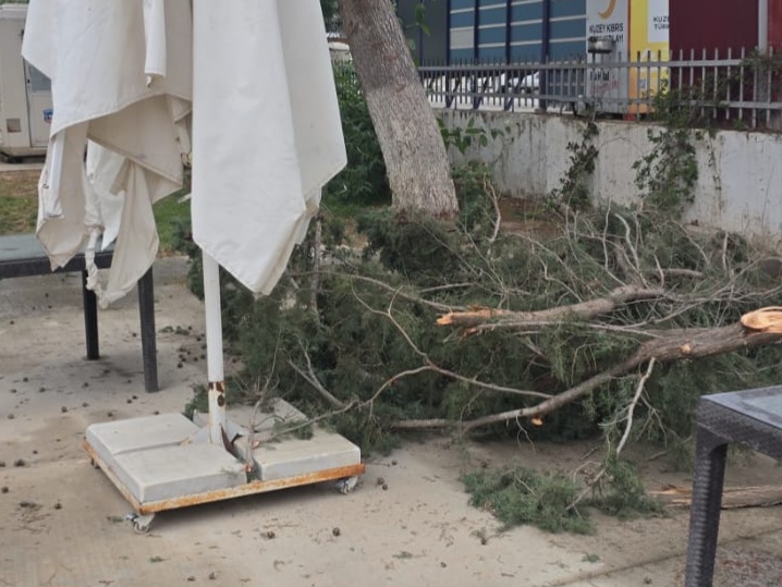 Mağusa’da ağaçlar devrildi, çatılar uçtu