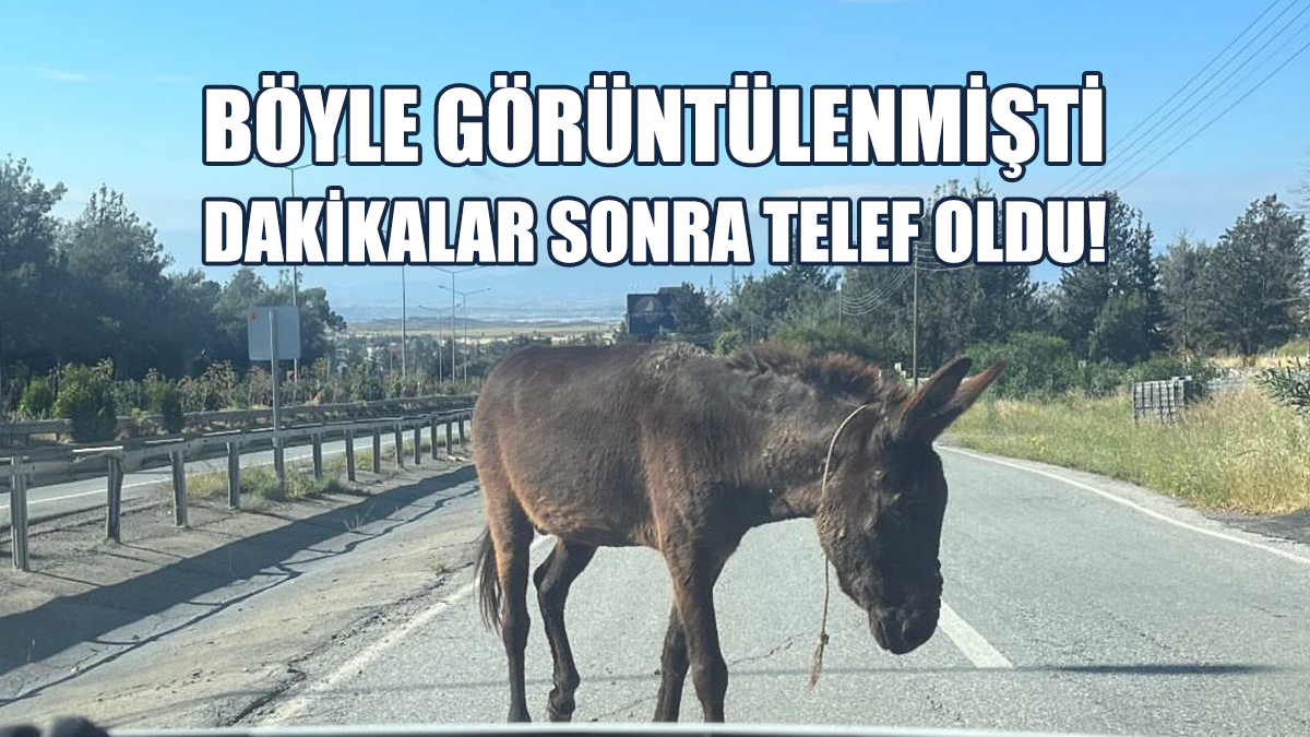 Böyle Görüntülenmişti, Dakikalar Sonra Telef Oldu!