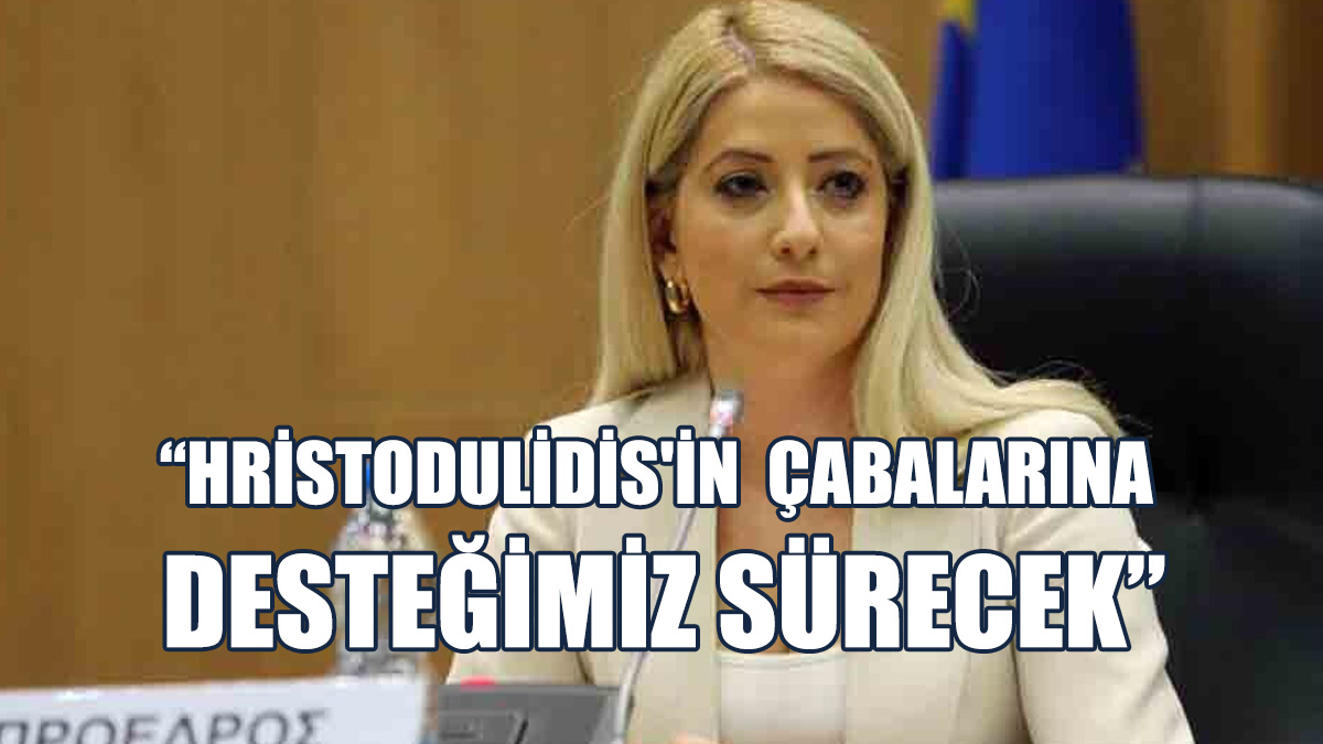 DİSİ Başkanı Ve Ekologlar Da Gayriresmi Yemeği Değerlendirdi