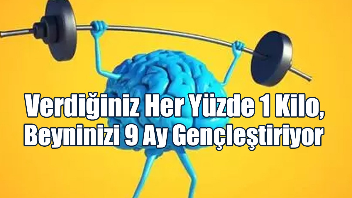 Verdiğiniz Her Yüzde 1 Kilo, Beyninizi 9 Ay Gençleştiriyor