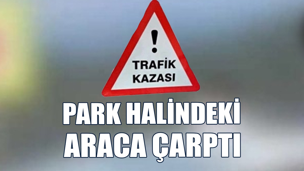 Alkollü Sürücü Kaza Yaptı