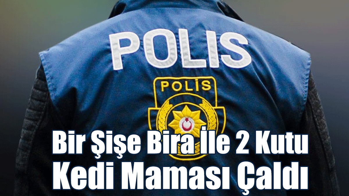 Alkollü şahıs, Bir Şişe Bira İle 2 Kutu Kedi Maması Çaldı