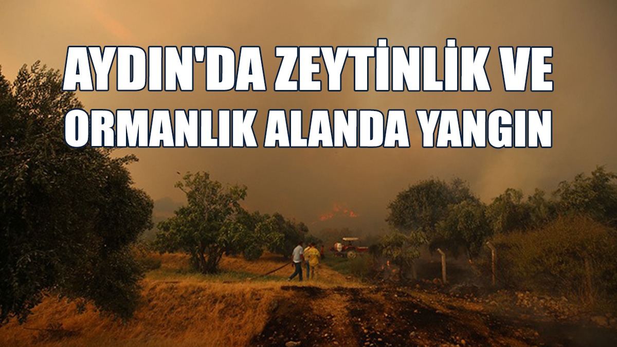 Yangına Müdahale Sürüyor