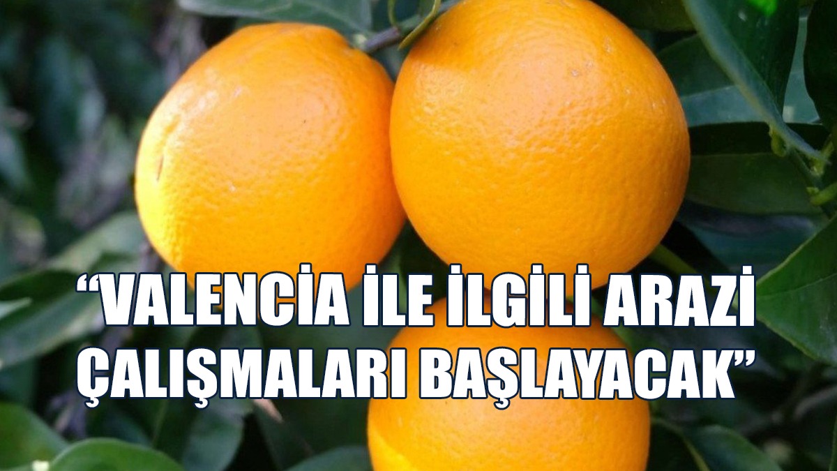 Ekipler Arazi Çalışmalarına Riskli Bölgelerden Başlayacak