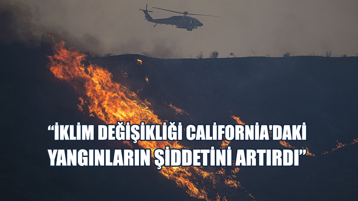 Kaybın, 275 Milyar Dolar Olduğu Tahmin Ediliyor