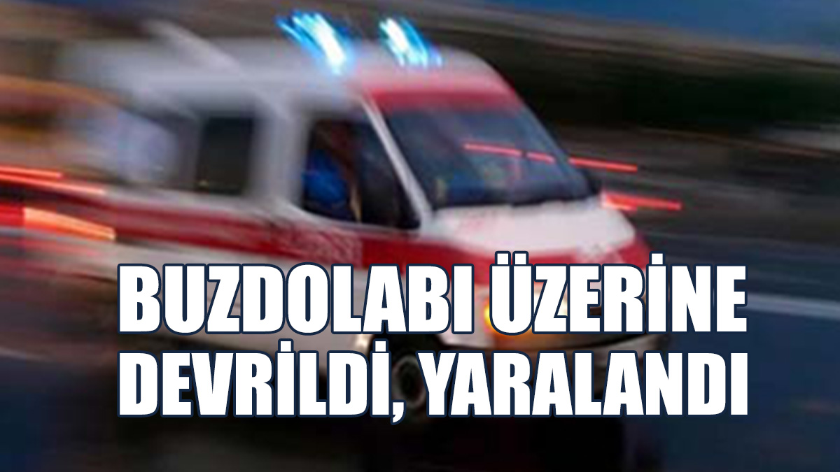 Buzdolabını Temizlerken Dolap Üzerine Devrildi