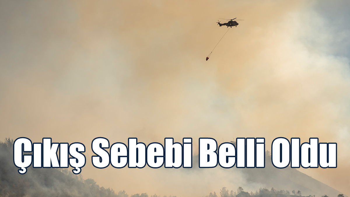 Yeşilırmak Yangınının Çıkış Sebebi Belli Oldu