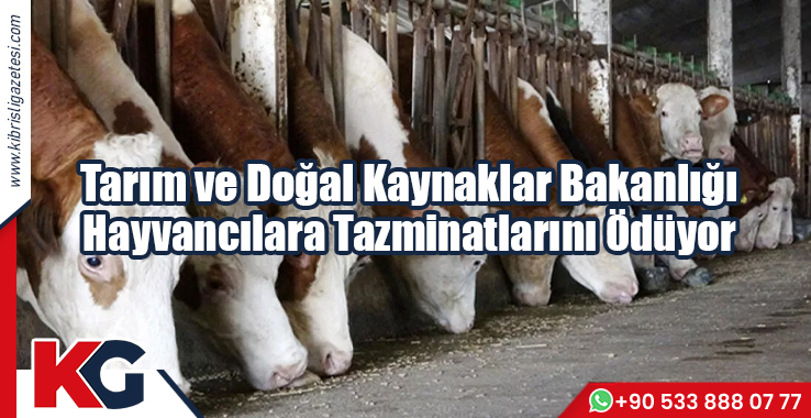 Tarım ve Doğal Kaynaklar Bakanlığı Hayvancılara Tazminatlarını Ödüyor