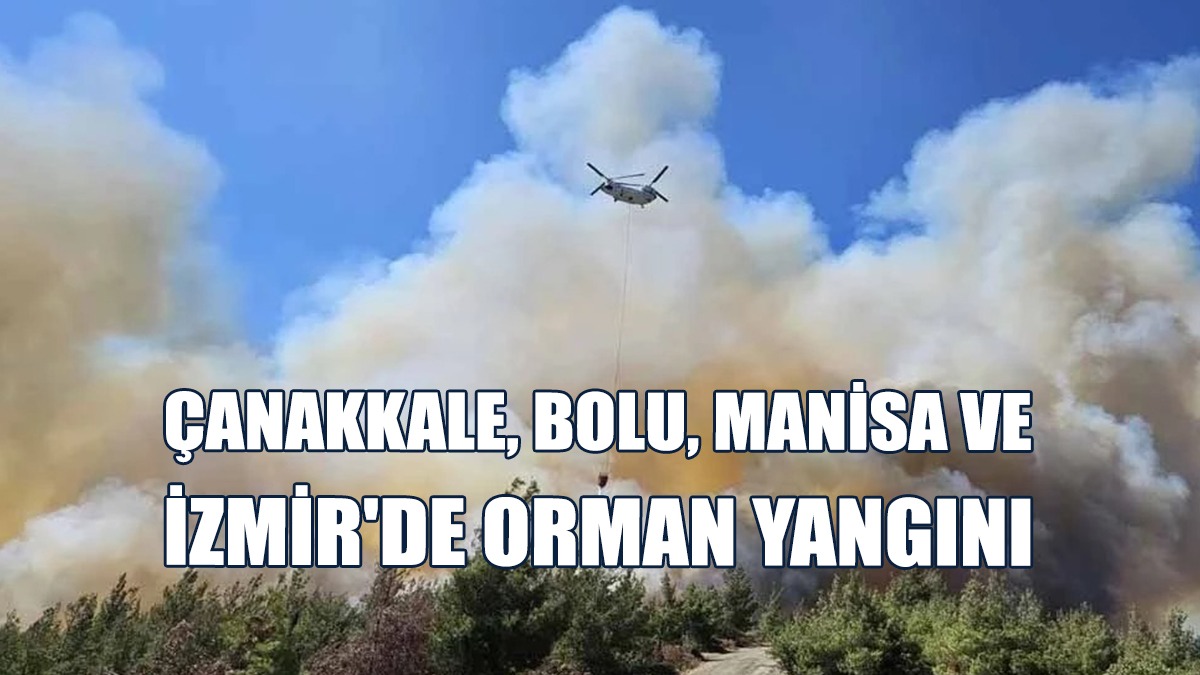 Türkiye’nin 4 Kentinde Alevlerle Mücadele Sürüyor