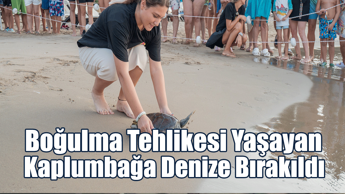 Boğulma Tehlikesi Yaşayan Kaplumbağa Denize Bırakıldı