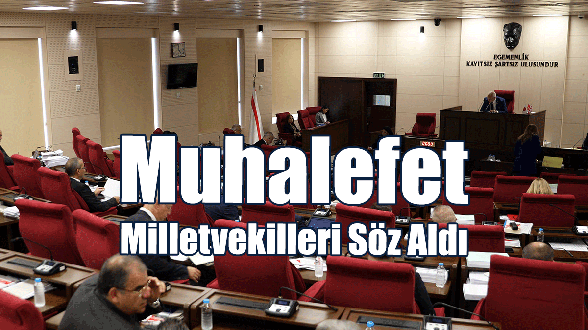 Meclis Genel Kurulu, 2024 Bütçesini Görüşüyor