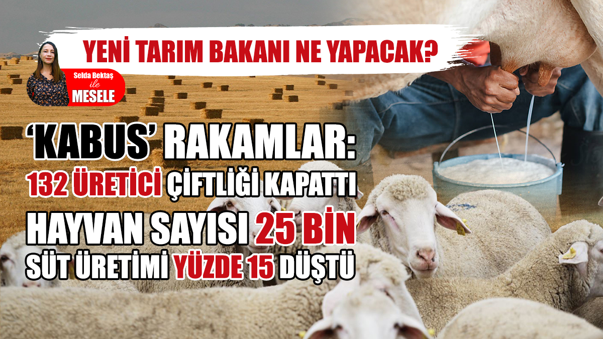132 Üretici Çiftliğini Kapattı: 2024’te Üretim Duracak!