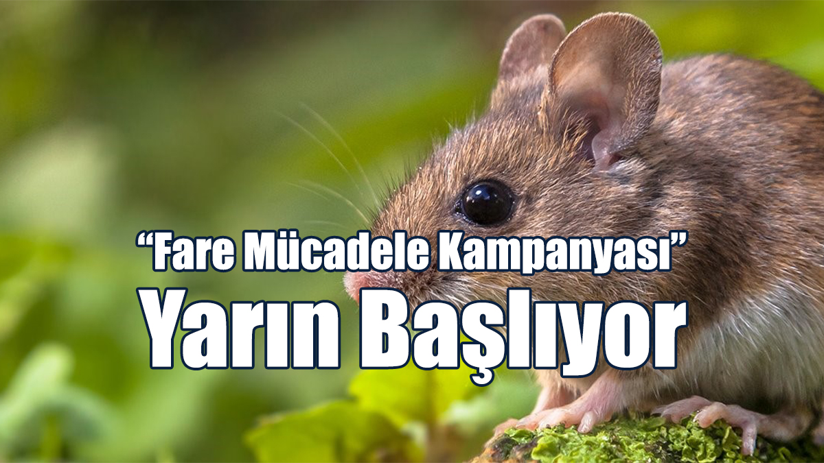 “Fare Mücadele Kampanyası” Yarın Başlıyor