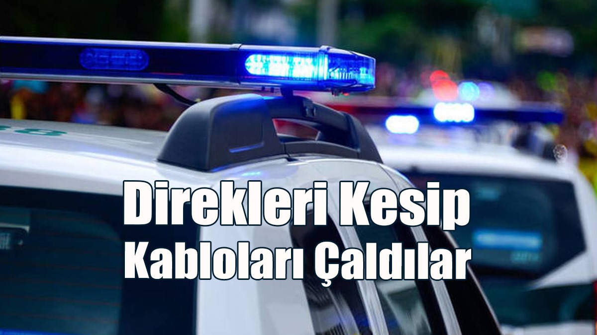 Rum Elektrik İdaresine Ait Direkleri Kesip Kabloları Çaldılar