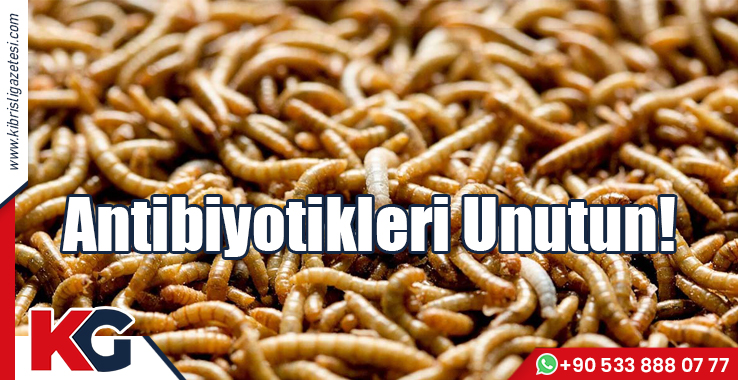 Antibiyotikleri Unutun!