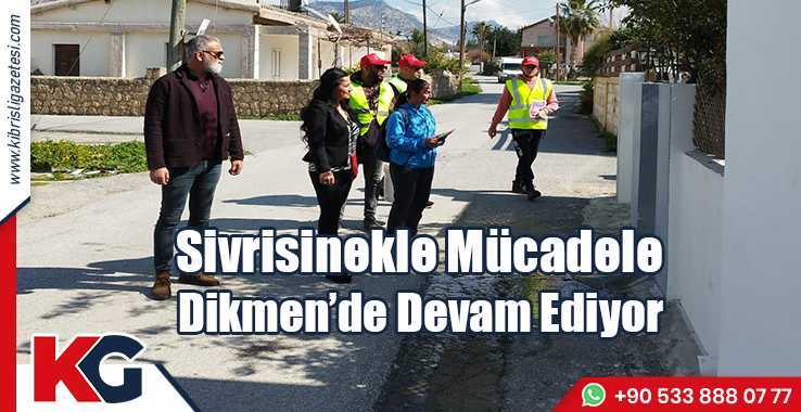 Sivrisinekle Mücadele Dikmen’de Devam Ediyor