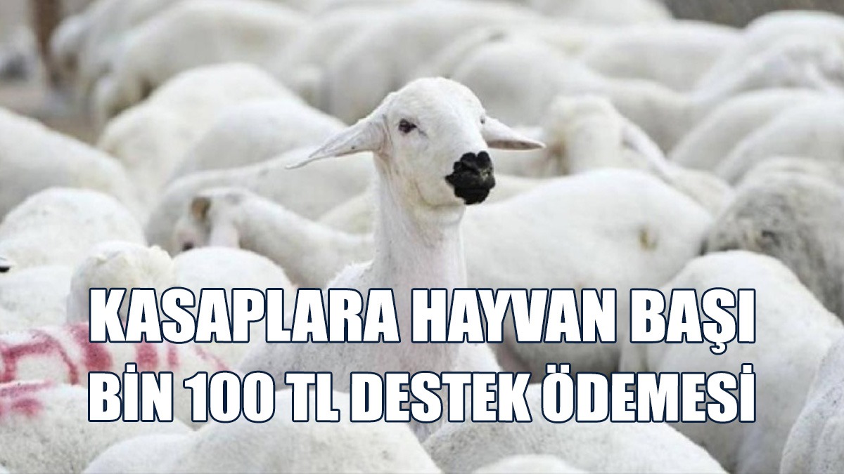 Toplam 10 Milyon 129 Bin 900 TL Ödeme Yapıldı