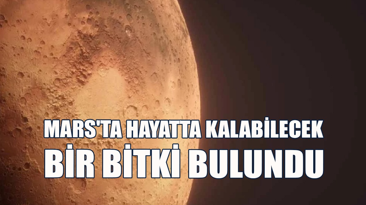 "Mars'ın Atmosferik Basıncı Ve Radyasyon Seviyesine Adapte Oluyor"