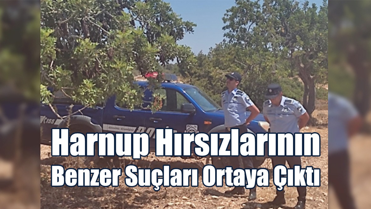 Harnup Hırsızlarının Benzer Suçları Ortaya Çıktı