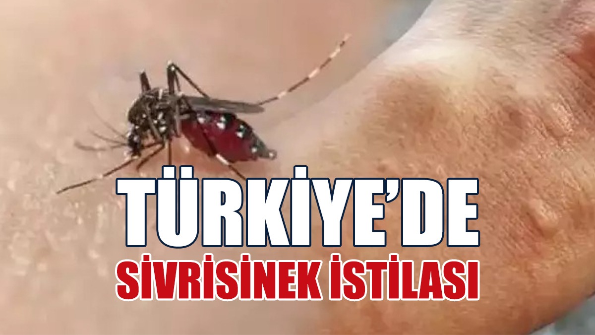Isırmıyorlar Resmen Koparıyorlar