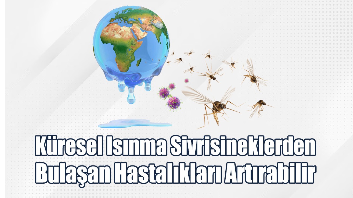 Küresel Isınma Sivrisineklerden Bulaşan Hastalıkları Artırabilir