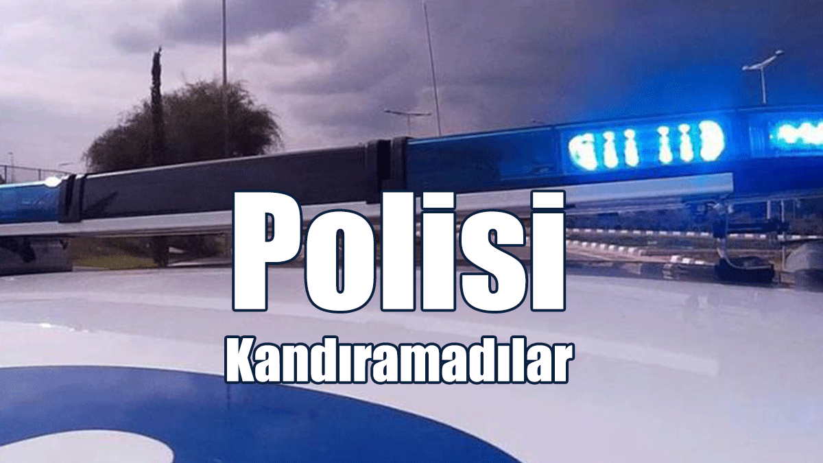 Sahte Kimlik Kartlarıyla Seyahat Etmek İsterken Yakalandılar