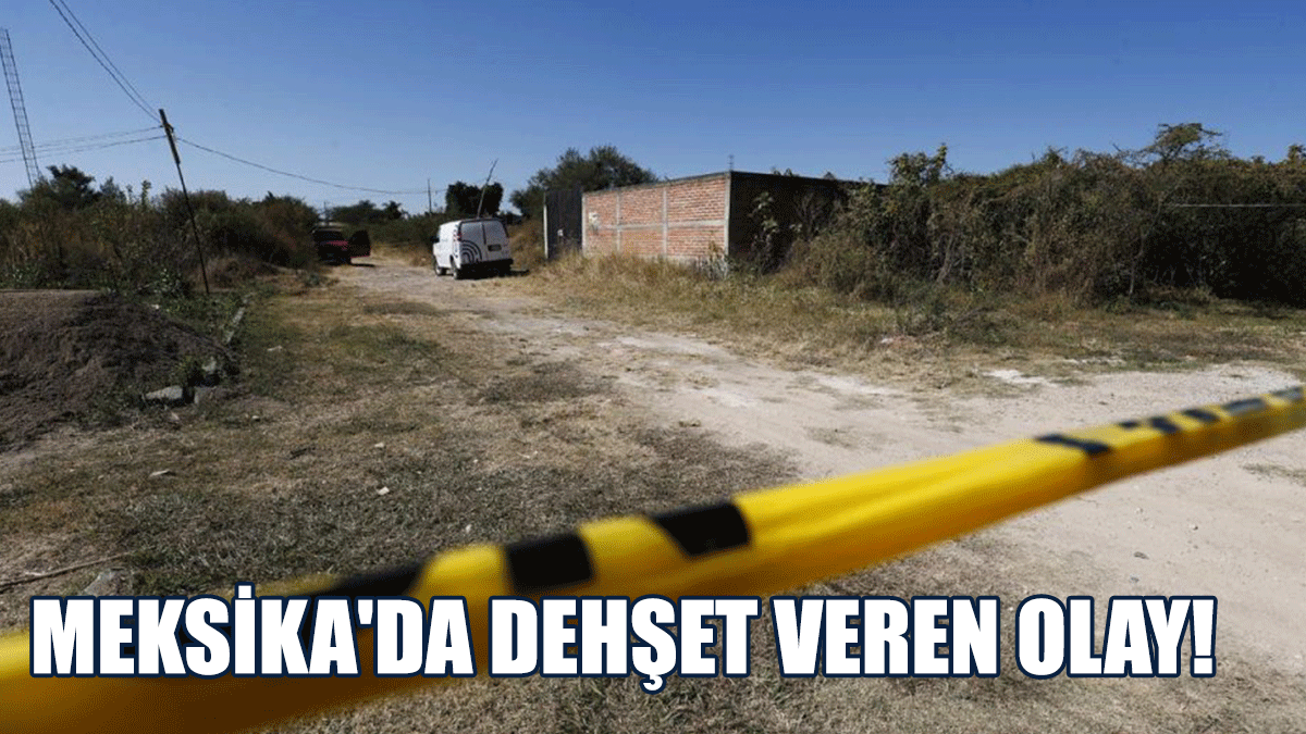 Meksika'da Gizli Bir Çukurda 132 Kişiye Ait Kemikler Bulundu