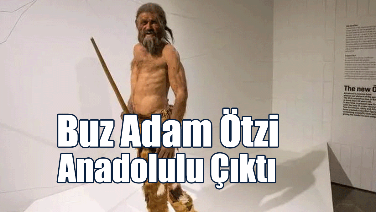 Buz Adam Ötzi Anadolulu Çıktı