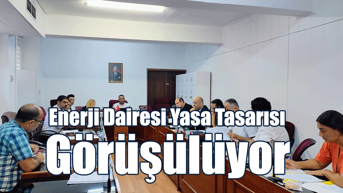 Enerji Dairesi (Kuruluş, Görev ve Çalışma Esasları) Yasa Tasarısı Görüşülüyor