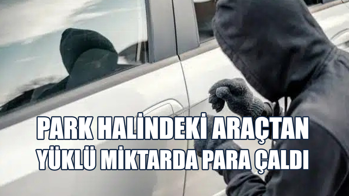 17 Bin 400 ABD Doları İle 3 Bin 250 Stg Çaldı