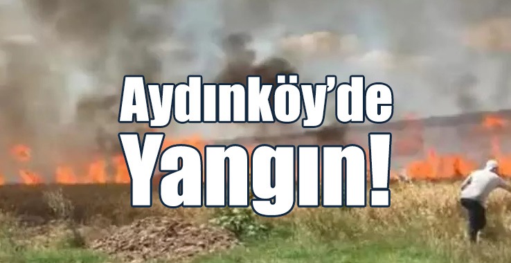 5 Dönümlük Tarla Yandı