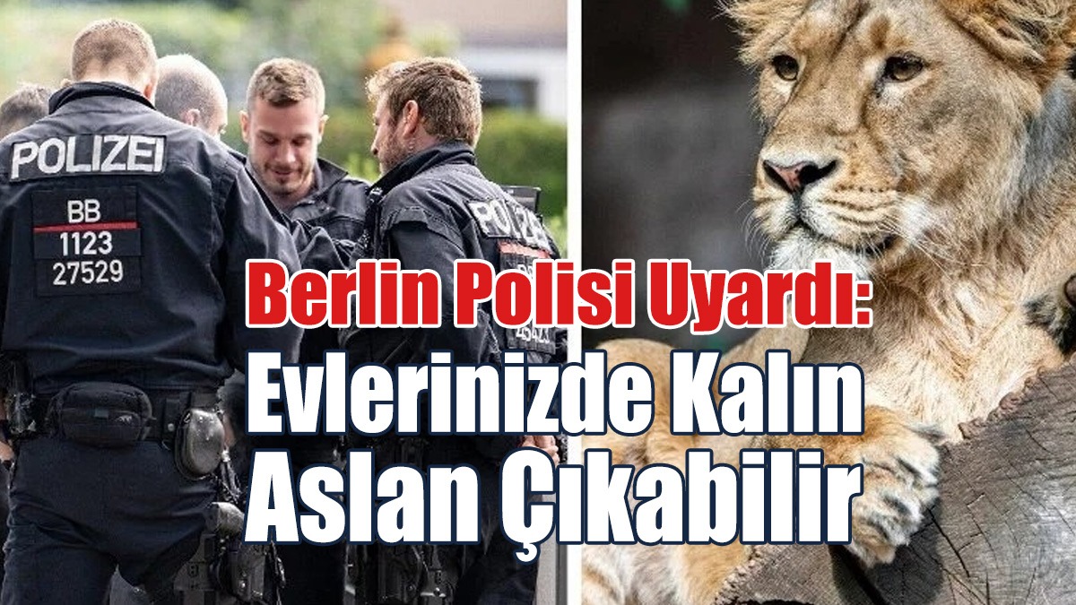 Berlin Polisinde "Aslan Çıkabilir" Uyarısı
