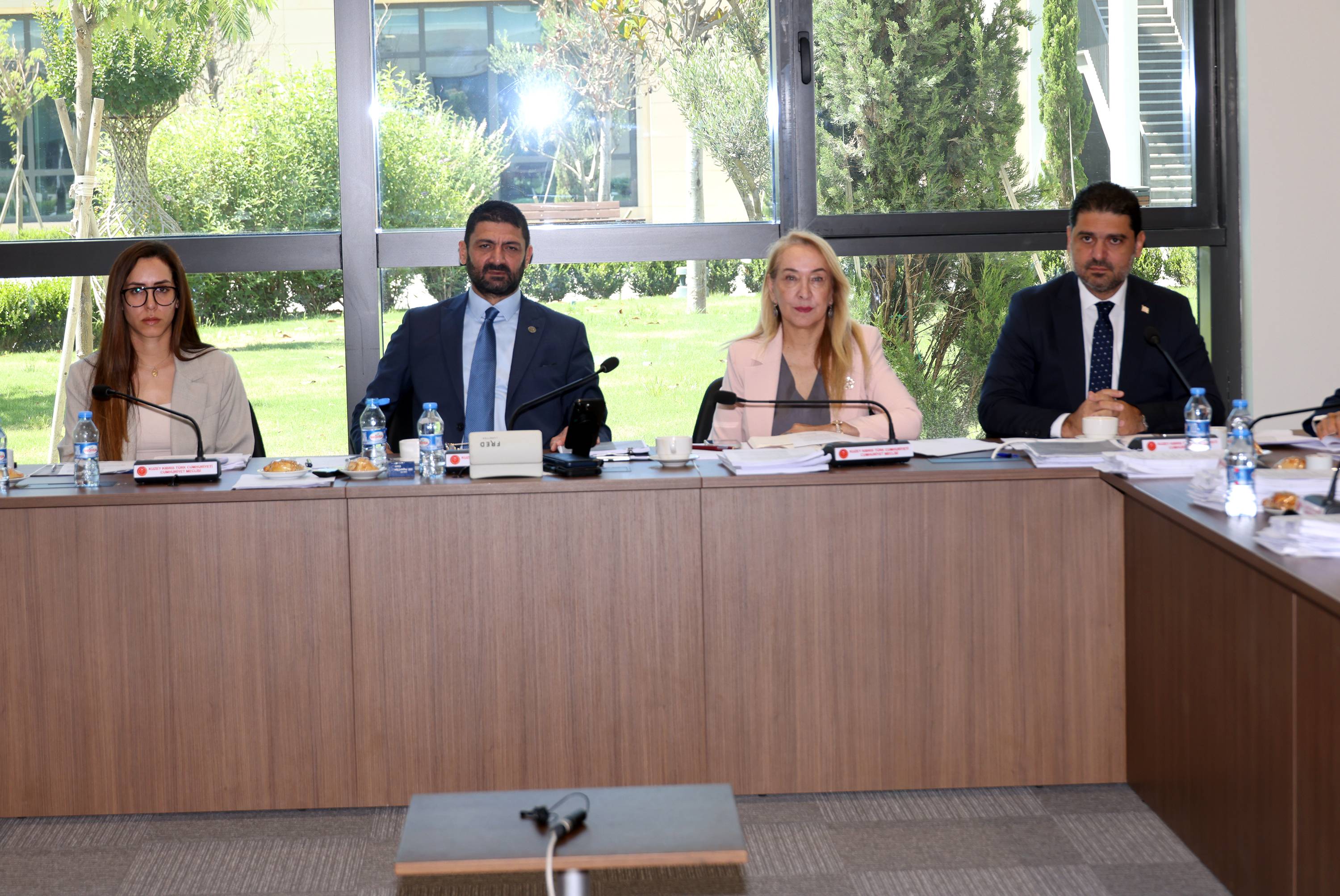 İdari, Kamu ve Sağlık İşleri Komitesi iki yasa tasarısını görüştü