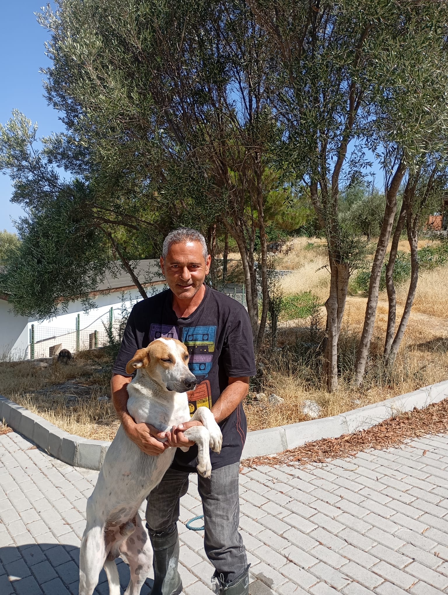 WhatsApp Image 2025-06-30 at 11.22.37.jpeg