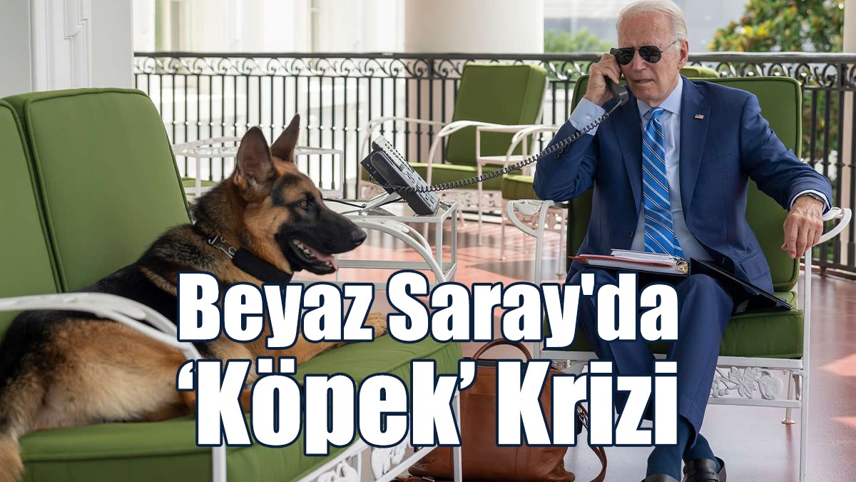 Biden'ın Köpeği 10 Ajanı Isırdı